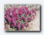 Klik for forst�rrelse
